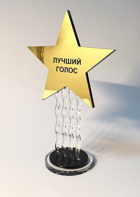Награда "Звезда на волнах" 