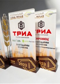 Награда "ТРИА" 
