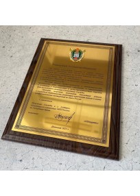 Благодарственное письмо, диплом, плакетка (арт.PLAKET) 2025